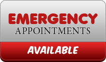 Emergency Appointments are Available